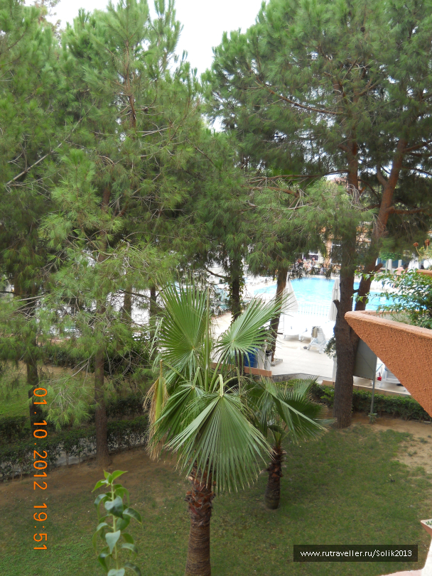 photo 1164528