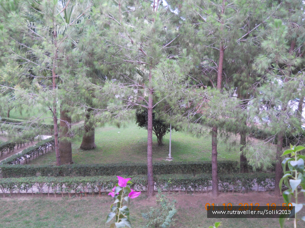 photo 1164529