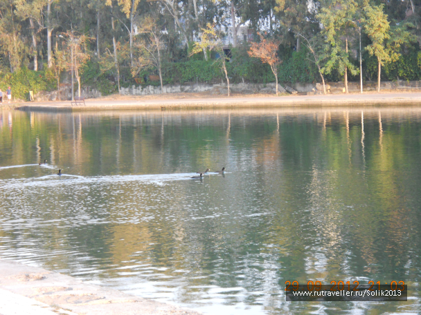 photo 1164530