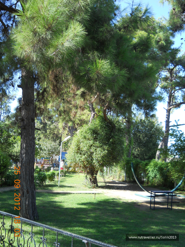 photo 1164533
