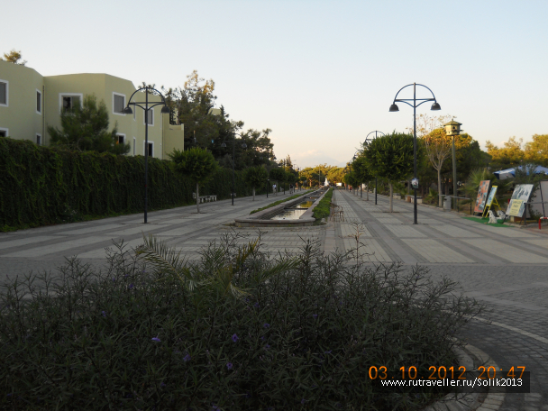 photo 1164547