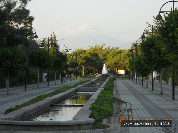 photo 1164548