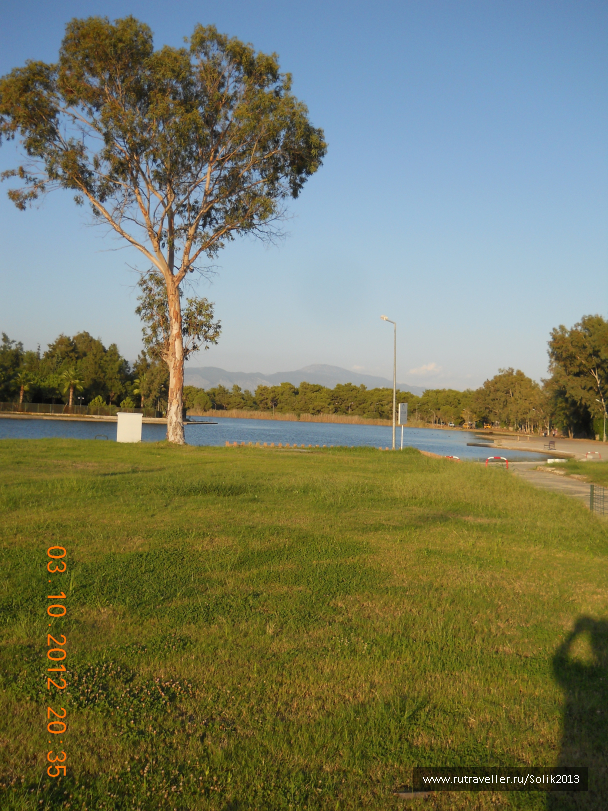 photo 1164549