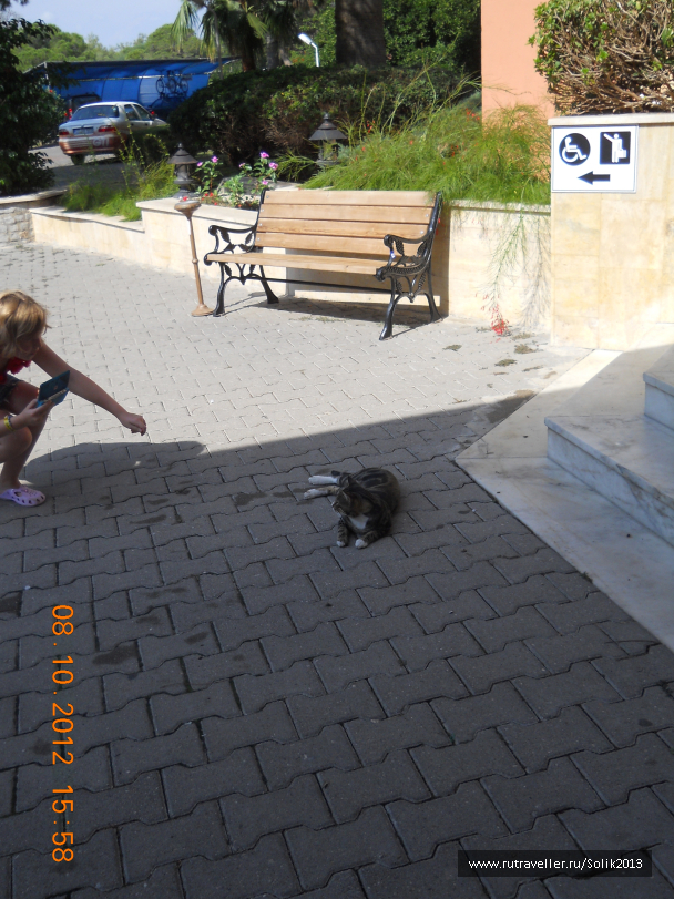 photo 1169174