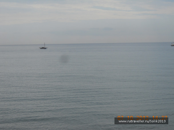photo 1169177