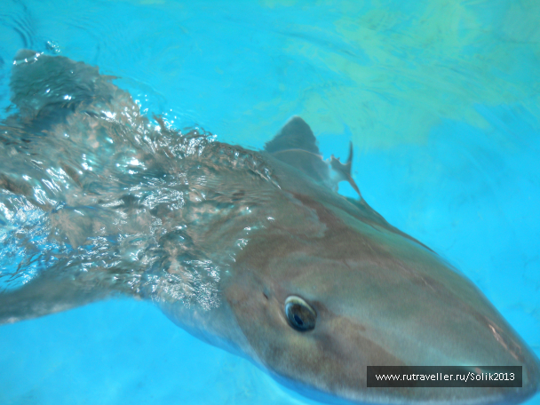 photo 1085612