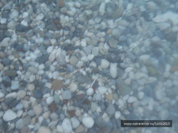 photo 1157887