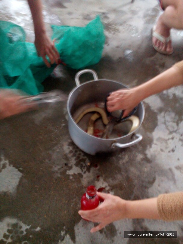 photo 1435635