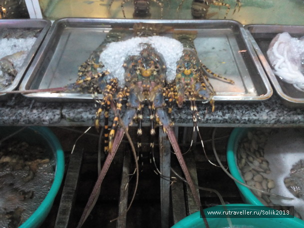 photo 1435638