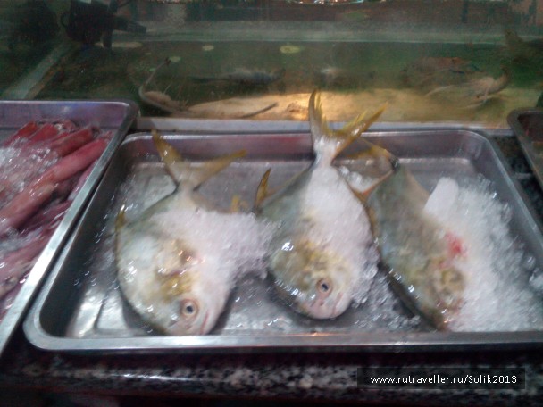 photo 1438252