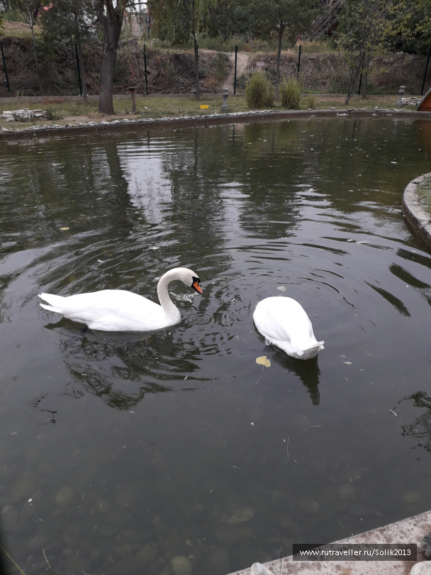 photo 1755152