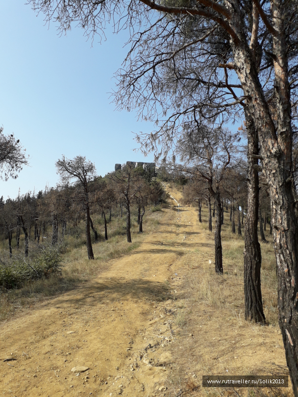 photo 1756040