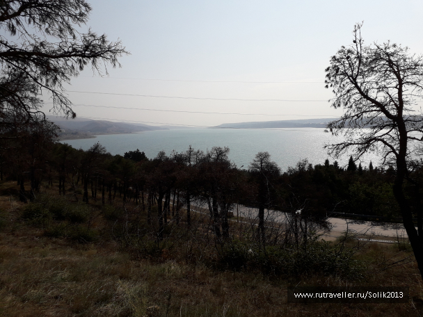 photo 1756248