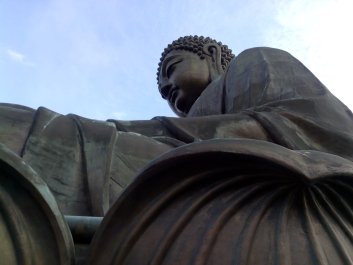 photo 1170739