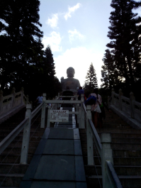 photo 1170749