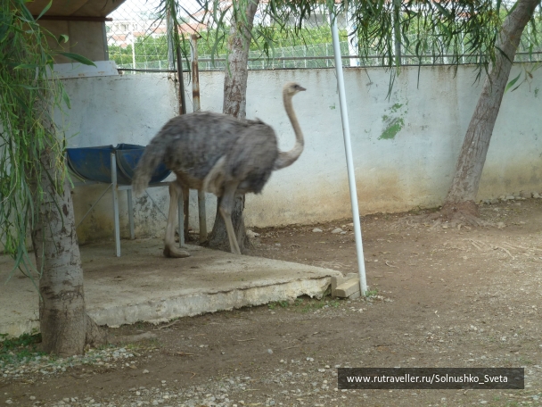 photo 824449