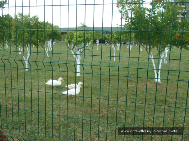 photo 824451