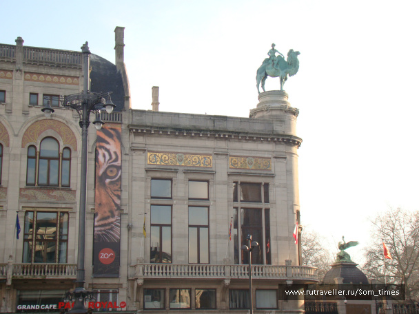 photo 263441