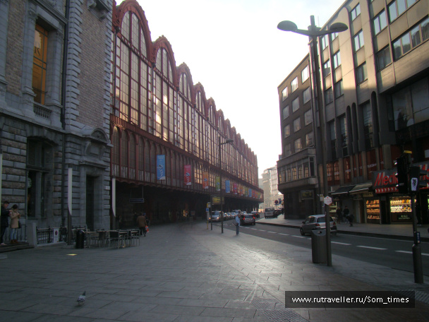 photo 263456