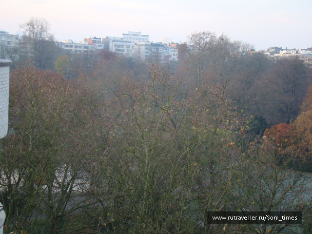 photo 263465