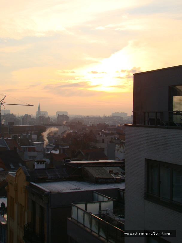 photo 263467