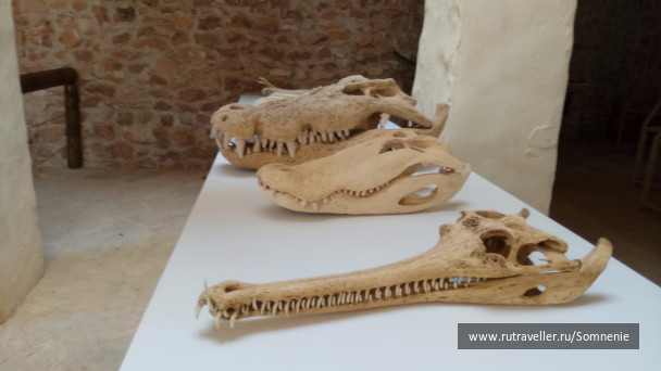 photo 1484912