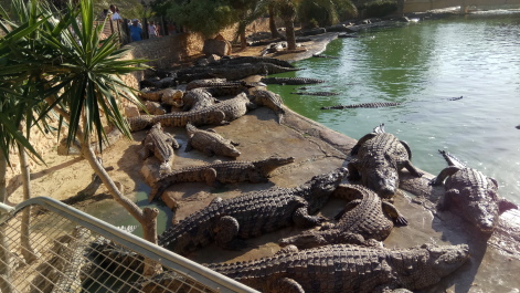photo 1485345