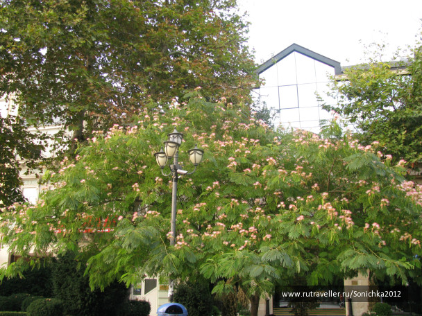photo 167199
