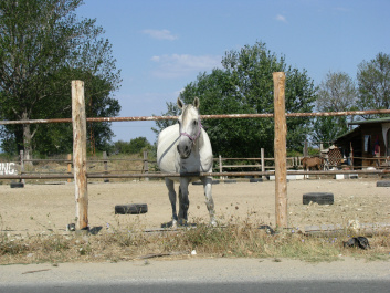 photo 186142