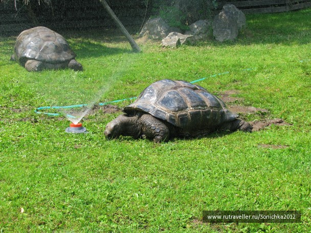 photo 494409