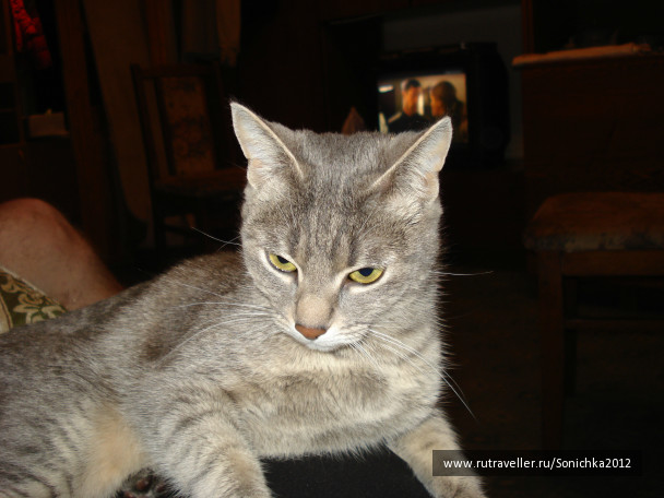 photo 128106