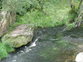 photo 202900