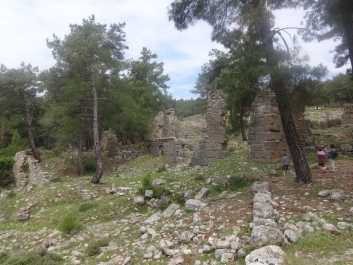 photo 738956