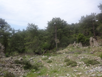 photo 738957