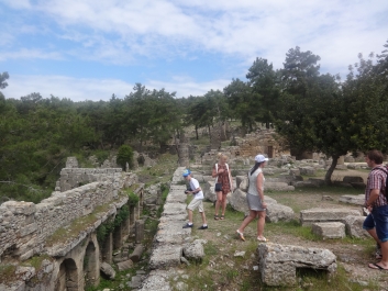 photo 738963
