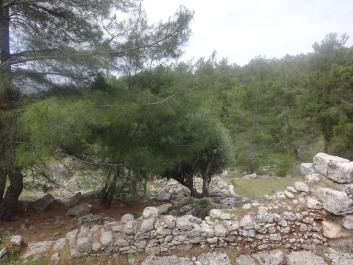 photo 738964