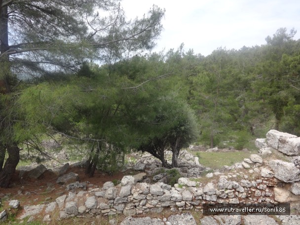 photo 738964