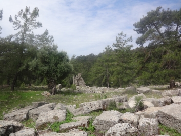 photo 738968