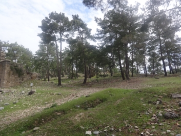 photo 738971