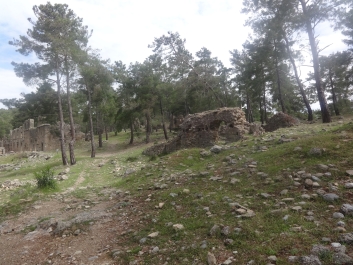photo 738973