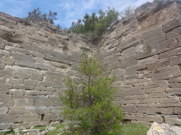 photo 738975