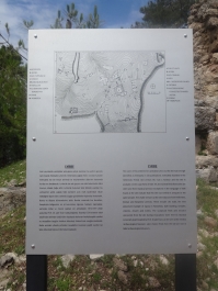 photo 738977