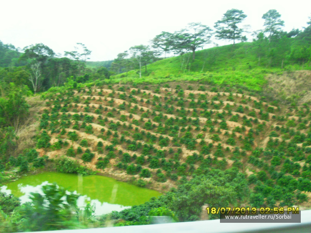 photo 474764