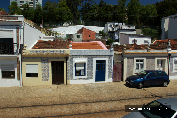 photo 1039674
