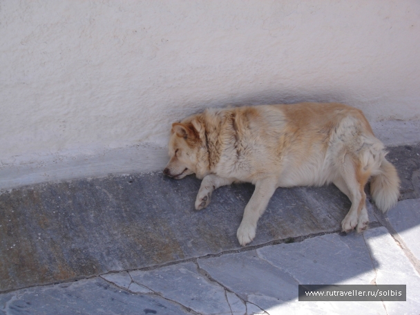 photo 978255