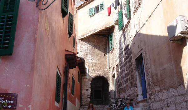 DSC07786