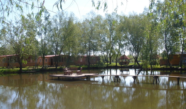 -DSC00268