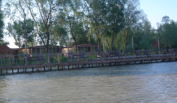 -DSC00252