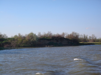 photo 1094295
