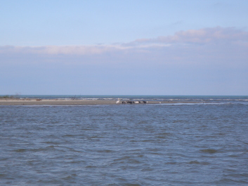 photo 1094304